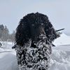 eema_377